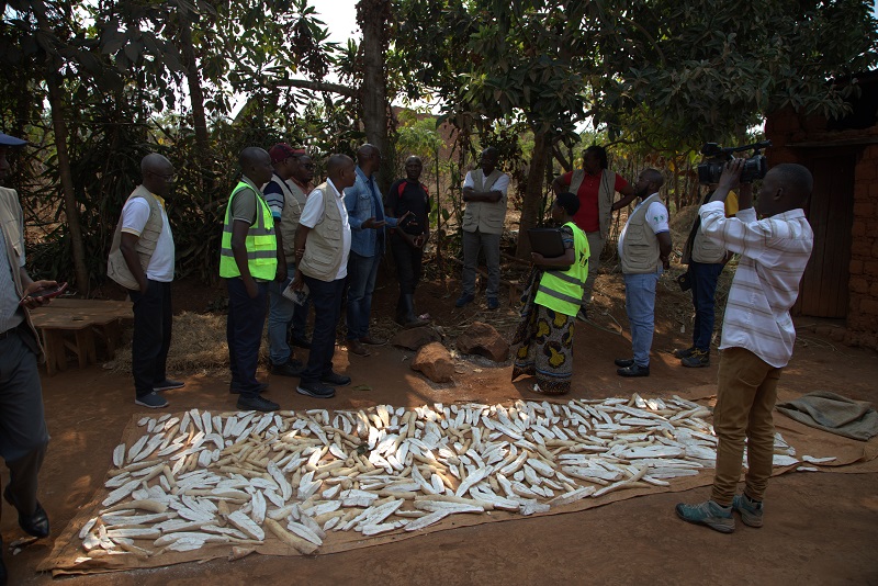 Suivi des Activités du Projet SOLEIL NYAKIRIZA : Des Réalisations Concrètes sur le Terrain